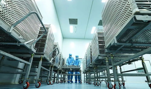 科技賦能植物工廠，張掖農特產品提質增效